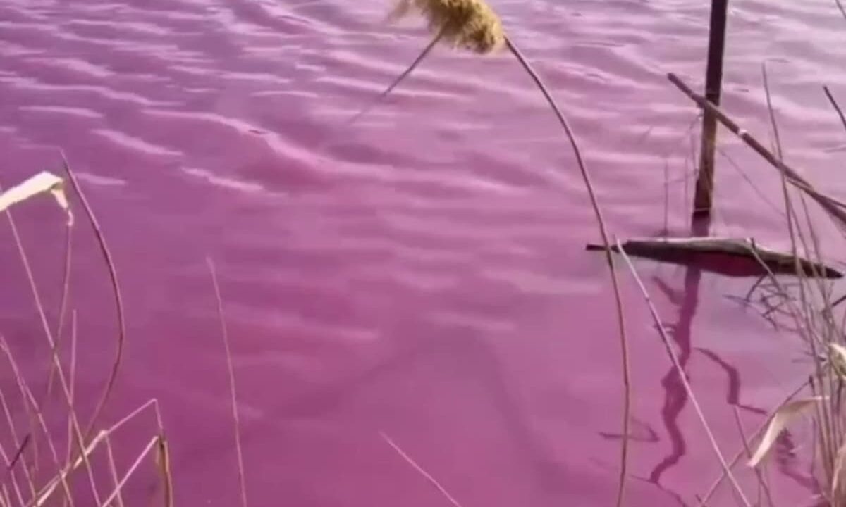    Фото t.me/krd_4mr