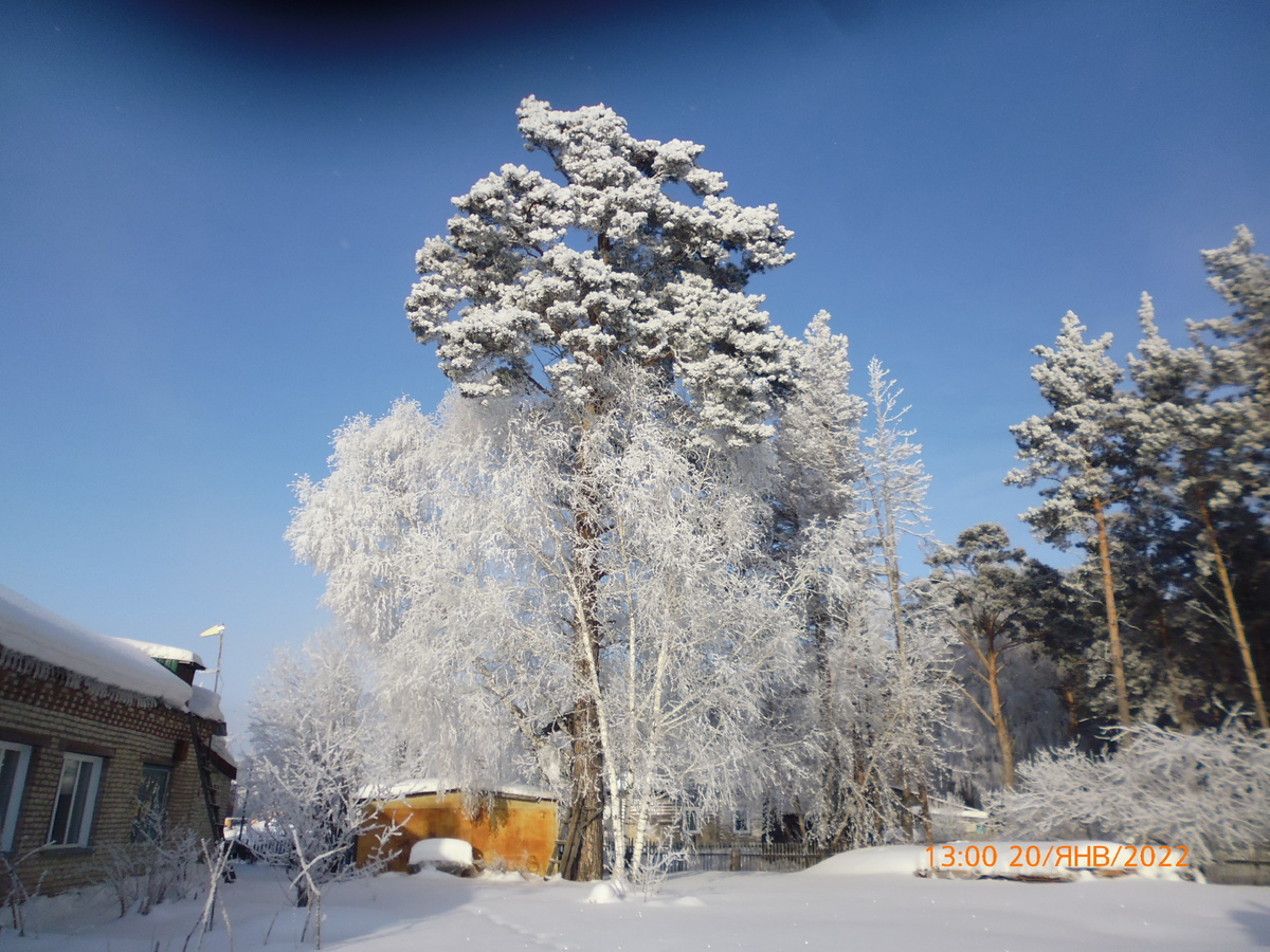 Зимняя картинка