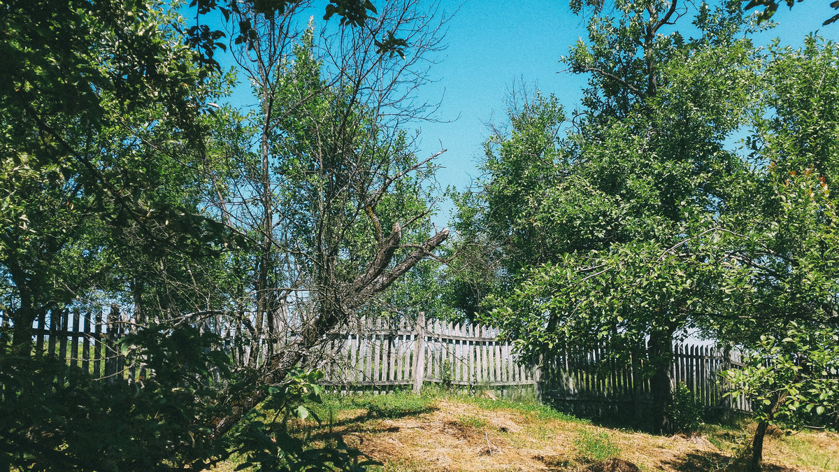 Designed by Freepik. Источник: www.freepik.com