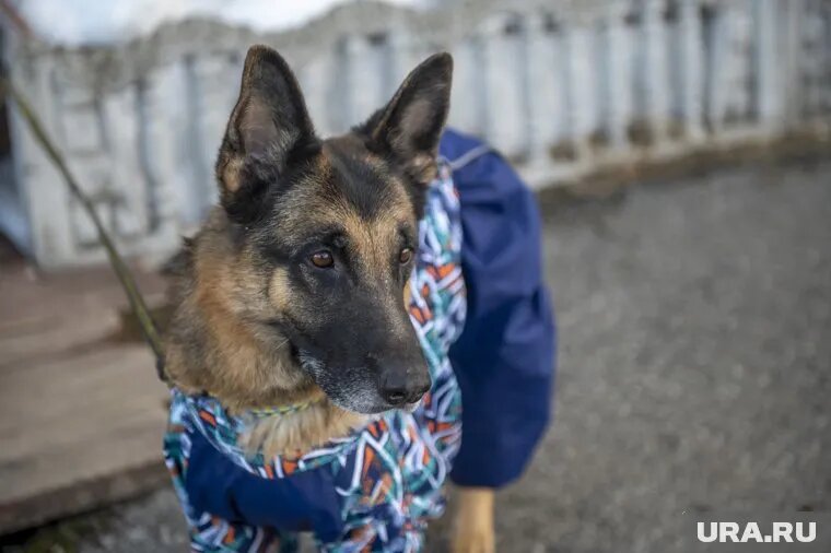 В сентябре было известно о почти восьми сотнях пропавших. Фото: Сергей Русанов © URA.RU