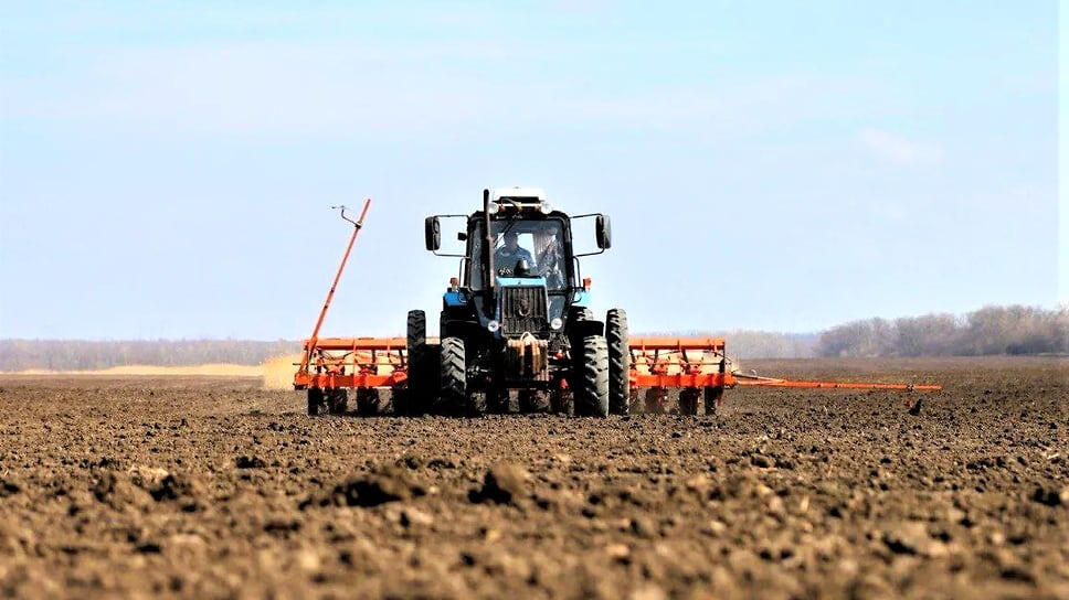 Фото: Пресс-служба администрации Краснодарского края