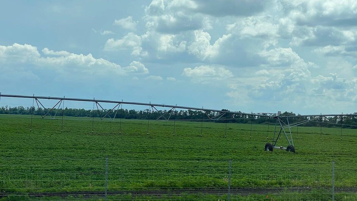    Фото: телеканал «Краснодар»