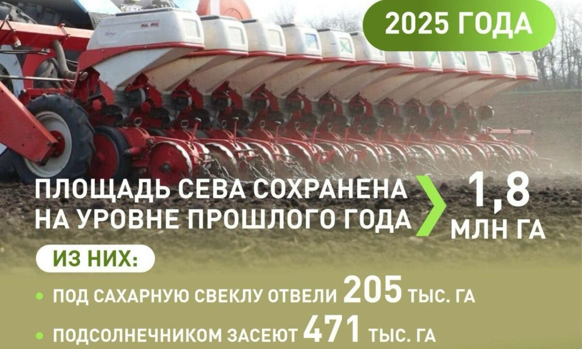    Фото t.me/kondratyevvi