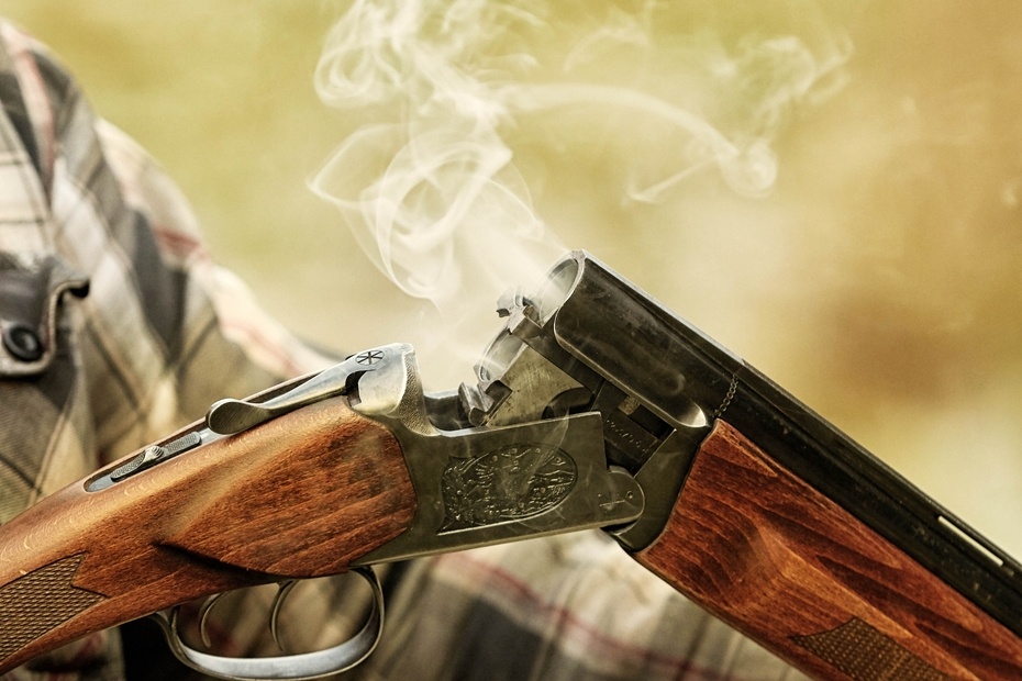 Shutterstock/FOTODOM