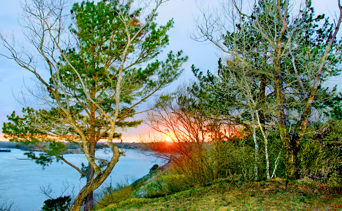 Фотография, стихотворение Василия Глуцкого
