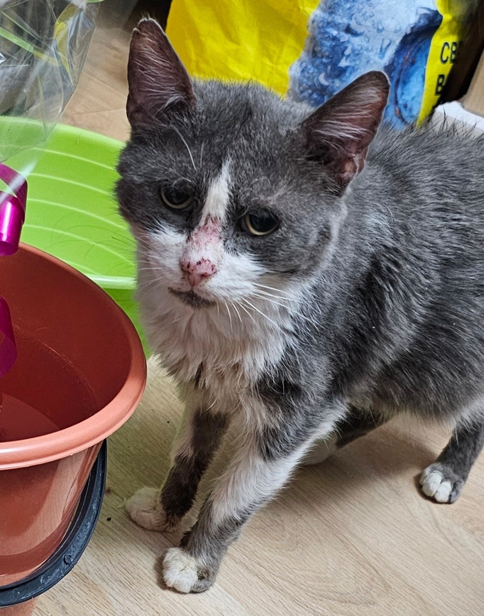 Фото автора. Дедуся.