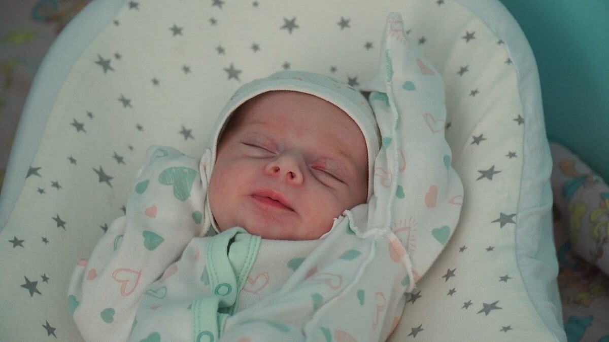    Фото: телеканал «Краснодар»