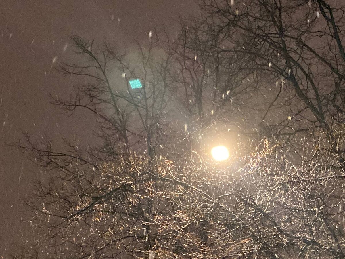 © Форпост Северо-Запад