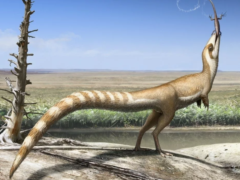 Синозавроптерикс - динозавр