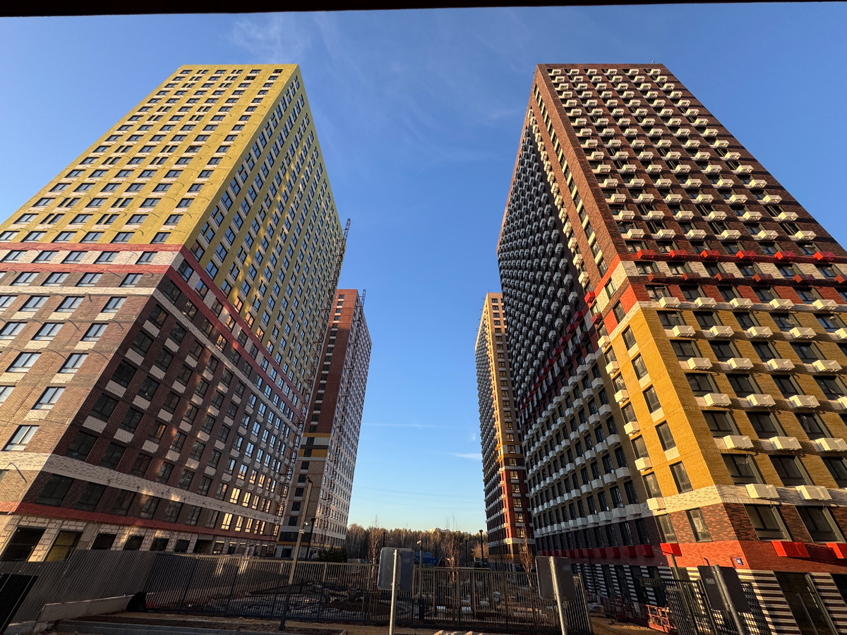 ПИК, Кузьминский лес, фото автора блога Дно Мещанства