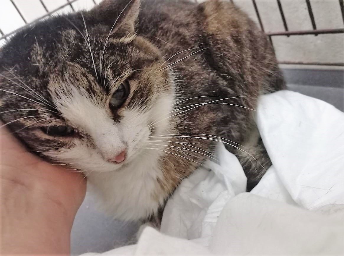 Вот бы Лидуше помочь... Благодарю за фото Ольгу МАТКИНУ)