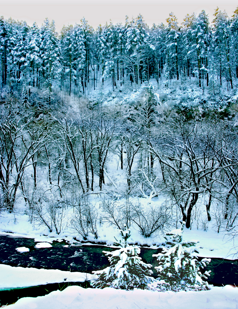 Фотография, стихотворение Василия Глуцкого