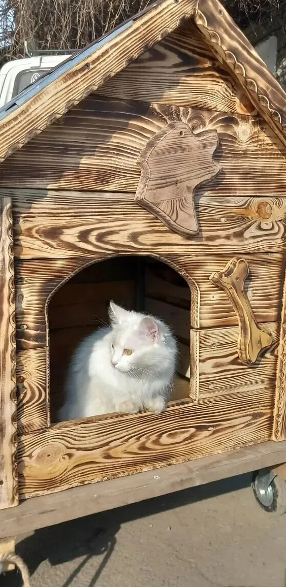 Будка от дедушки Саши