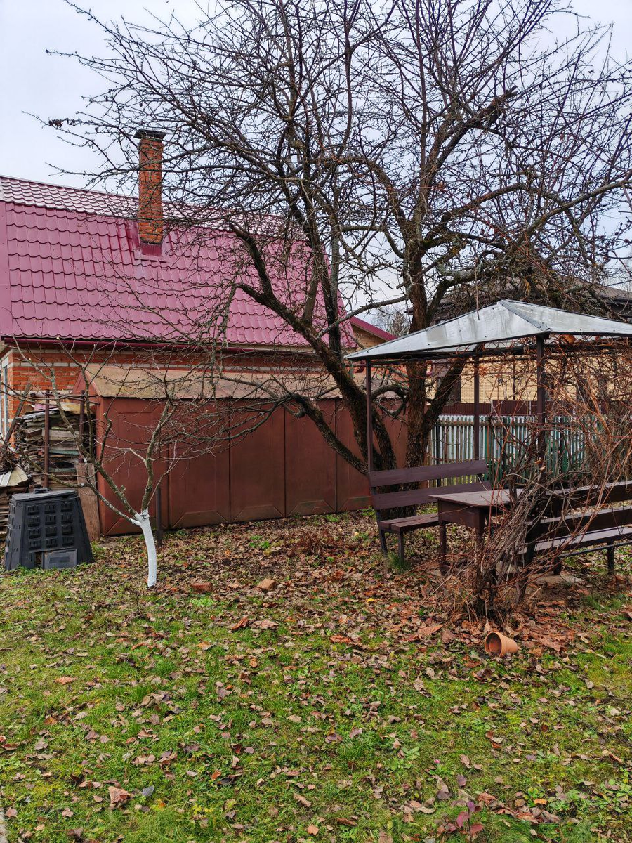 На фото яблоня за беседкой. Постоянно норовит прилечь на соседский сарай. Фото ноября 2024