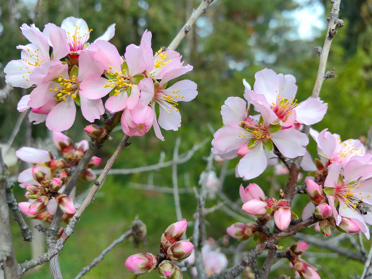 Сегодня. Фото автора канала
