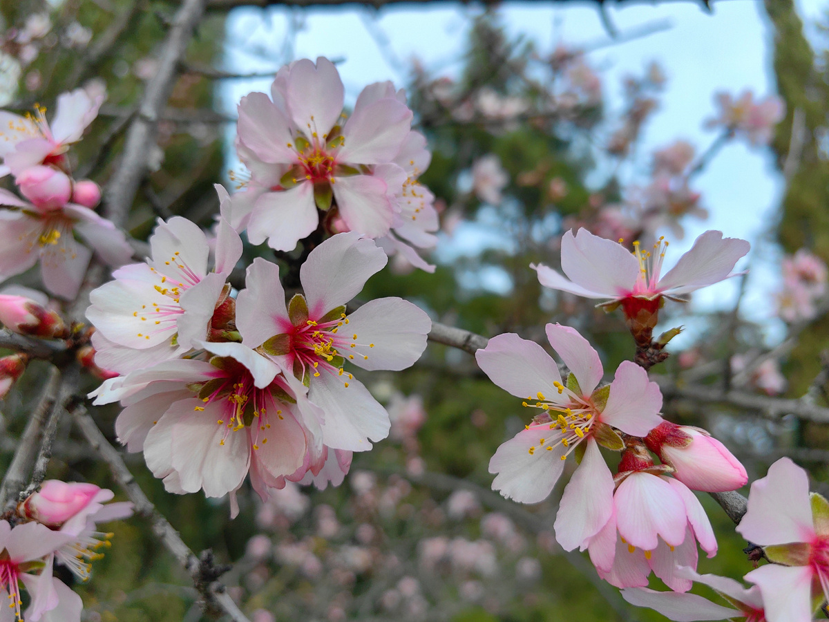 Сегодня. Фото автора канала