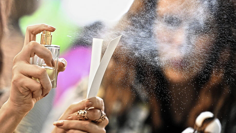 Фото: Александр Миридонов / Коммерсантъ