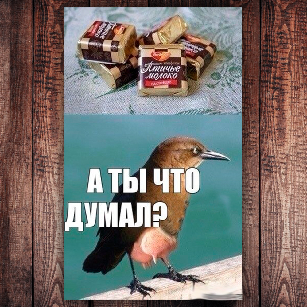 Немножко юмора =) (фото с просторов интернета)