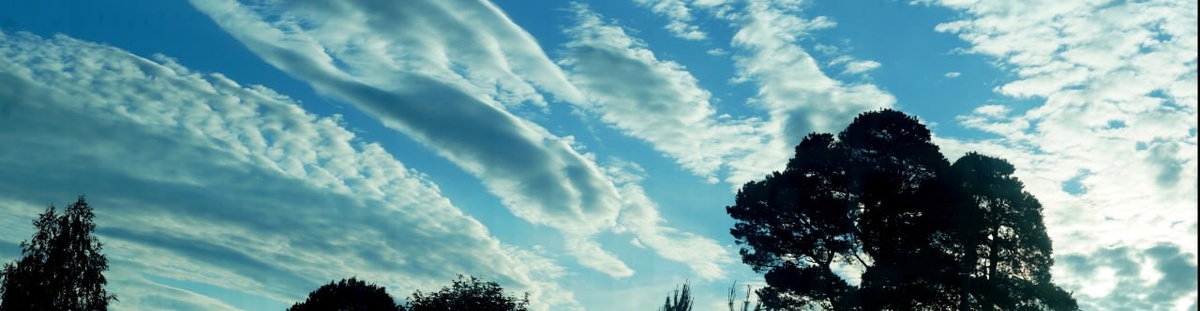 Я свободен! 