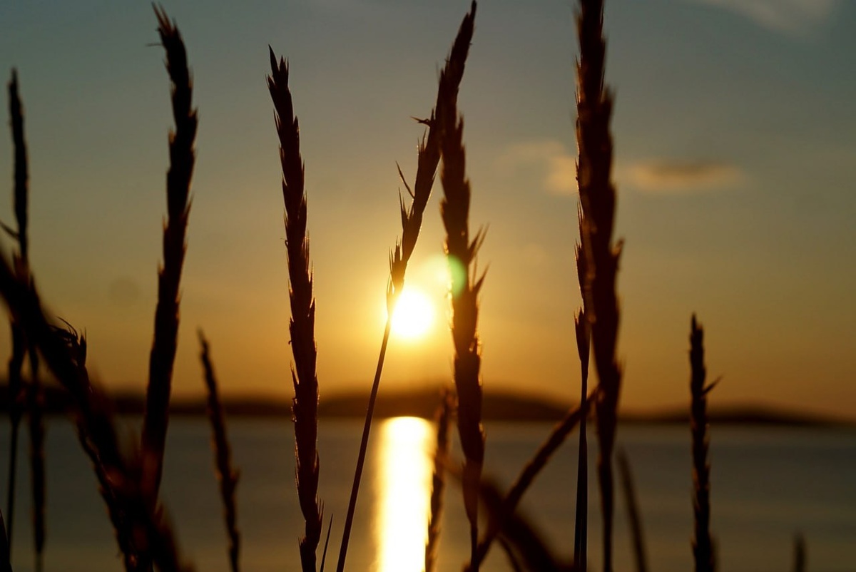 Все фото авторские. 