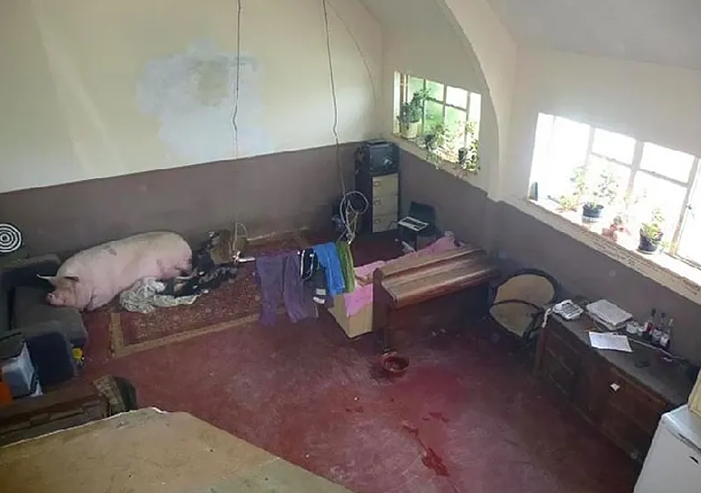 Источник Яндекс.фото 