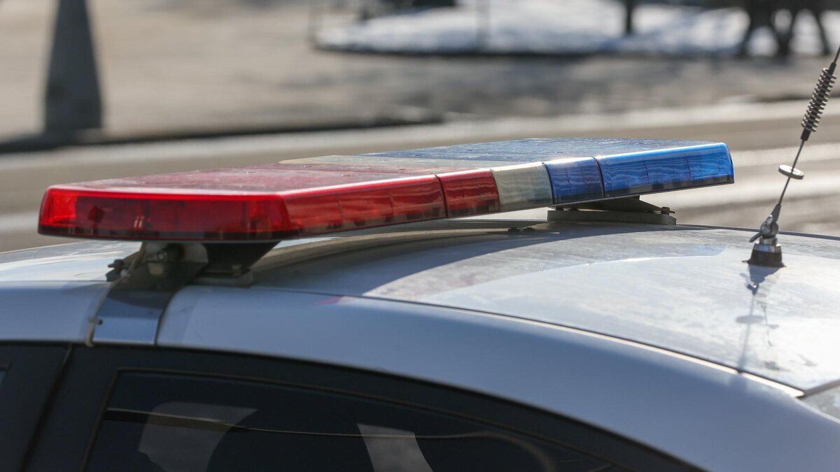    Фото: Belkin Alexey/news.ru/globallookpress.com