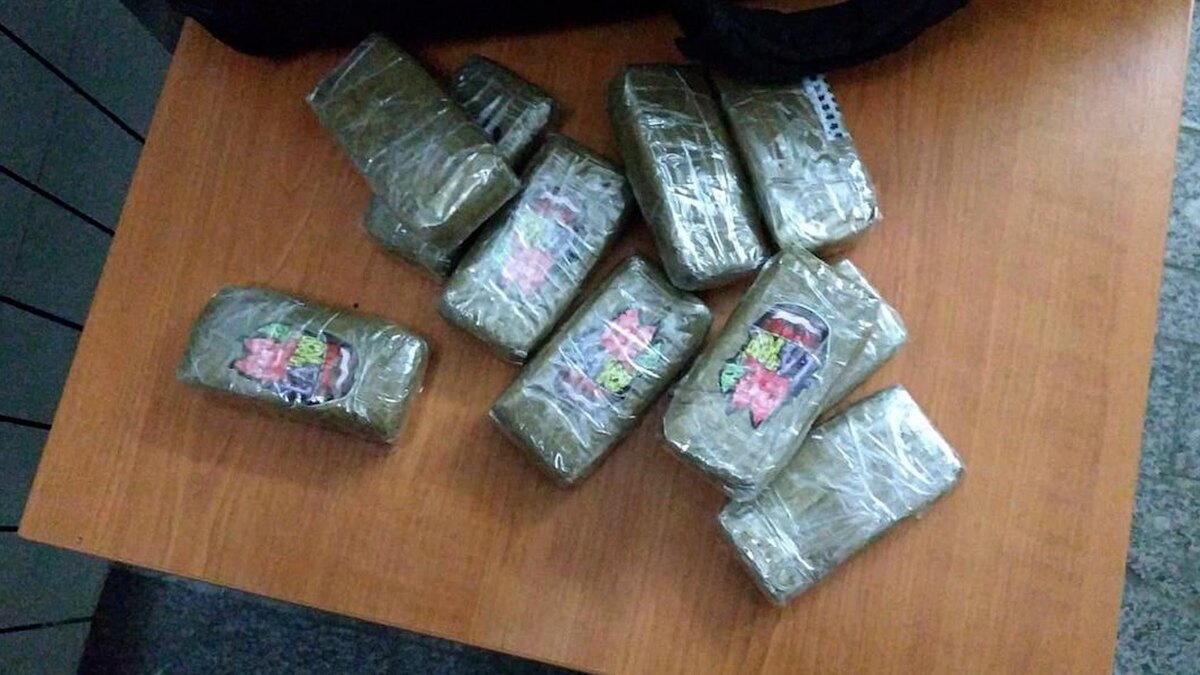    Фото: t.me/mvdszfo