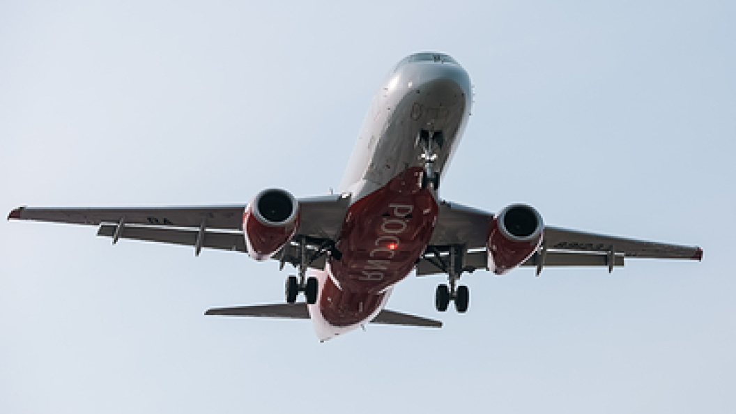    Фото: Roman Naumov/URA.RU/Globallookpress