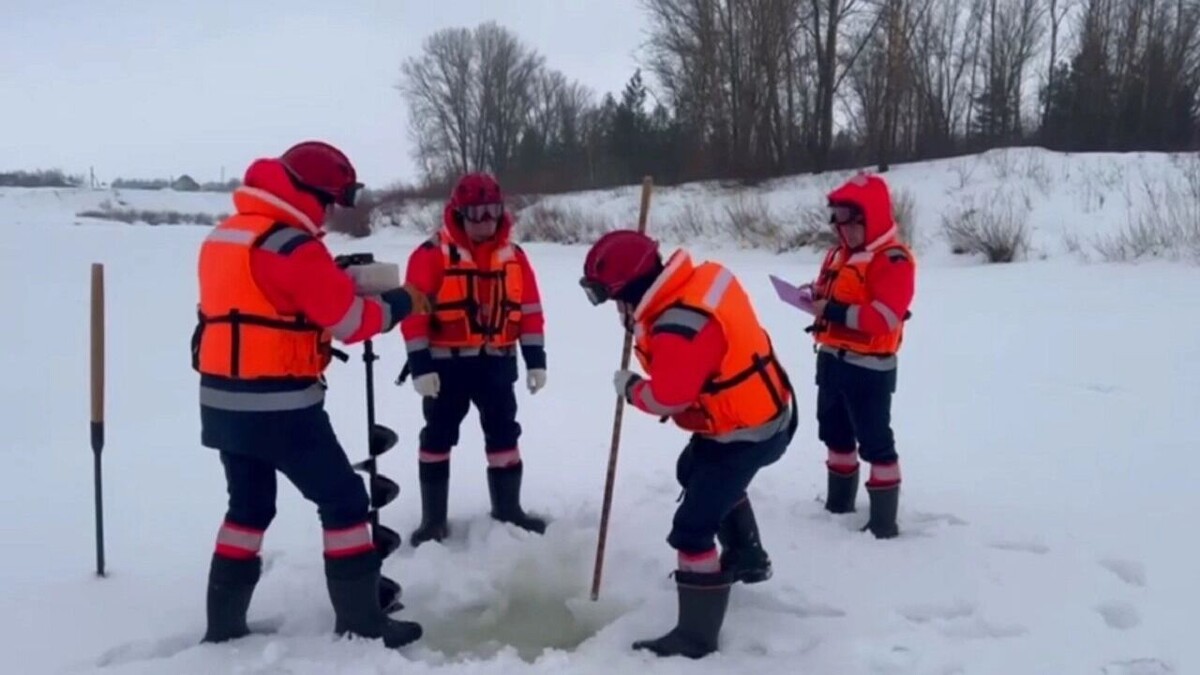     Источник: скриншот видео/t.me.Андрей Шуткин