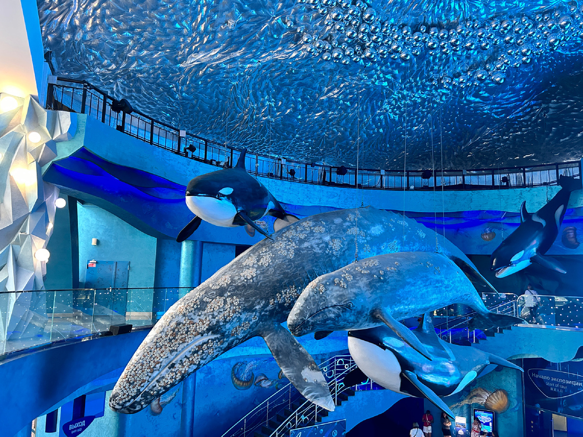 Фото из личного архива