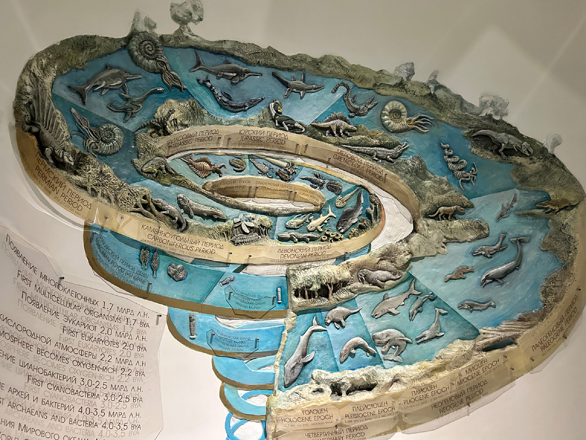 Фото из личного архива