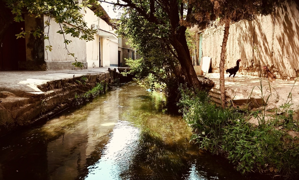 Арык и река: этимологические связи