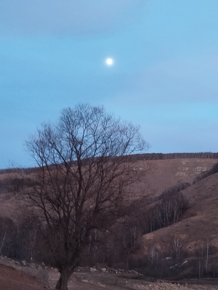 Почти полнолуние в Березовском ущелье, Кисловодск. Мы поймали Дзен