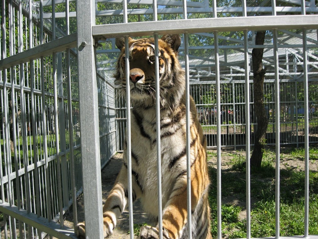 Фото сайт барнаульского зоопарка.