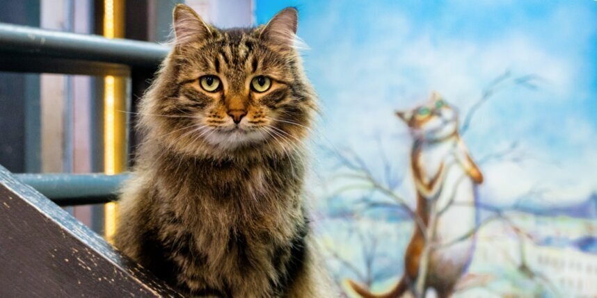    Алёна Бобрович