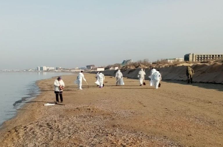    Фото: Оперштаб Кубани