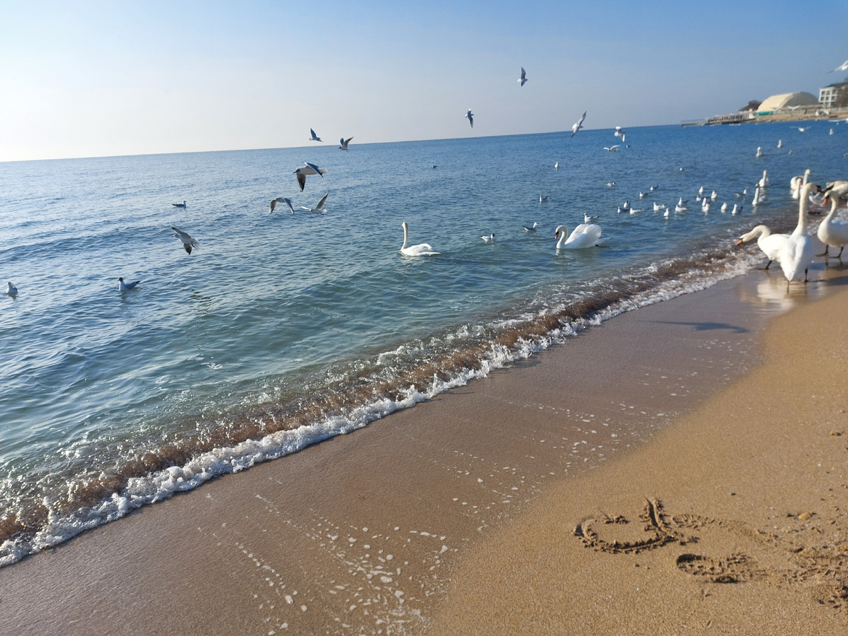 Фото автора