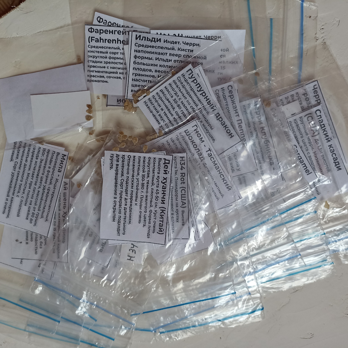 фото семян томатов с сайта яков огородник