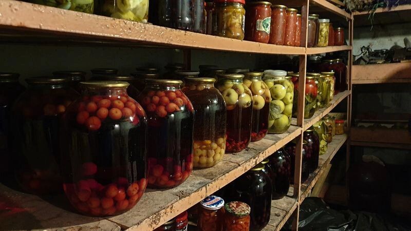    Фото: Evgeni Lukianenko/Shutterstock/Fotodom