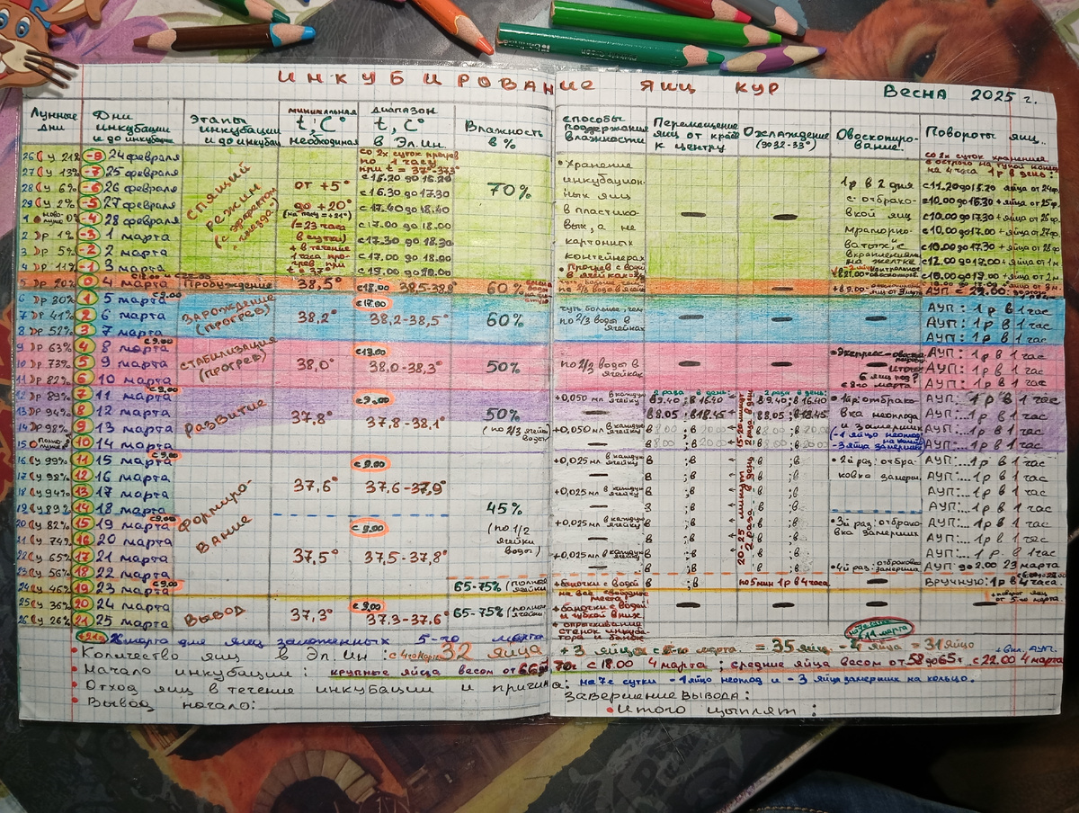1. Таблица инкубации и хранения куриных яиц до инкубации. Дополнение-уточнение от 28 марта 2025г.: лучше всего данный режим инкубации подходит для куриных яиц массой от 64 до 70(72)грамм. Для яиц массой 59-64г. температура инкубации на каждом этапе ниже на 0,2 градуса, то есть старт  в нулевой день с 38,3-38,6. А так как апрельские цыплята вывелись отличные при 37,4-37,7 градусах, то этот показатель я и оставляю для дальнейших инкубации. Но добавляю обратно перемещения яиц, от стен инкубатора в центр и из центра к стенкам, с 1-х по 6-е сутки в течение 3-5 минут: первые 4 дня 1 раз в день, а 5-й и 6-й дни 2 раза в день: замираний тогда меньше происходит и пупочные кольца у всех цыплят по итогу сомкнутые и чистые.