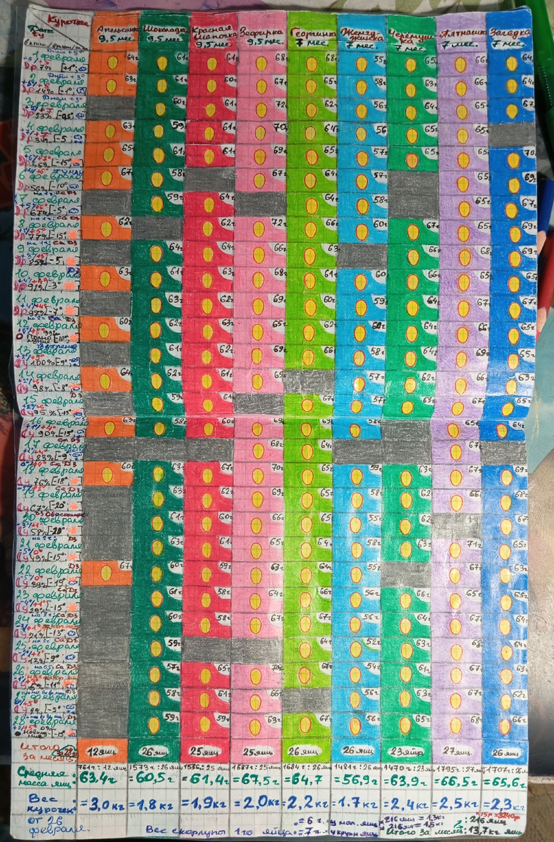 2. Таблица учёта яйценоскости каждой курочки и массы их яиц (пример за февраль 2025года)