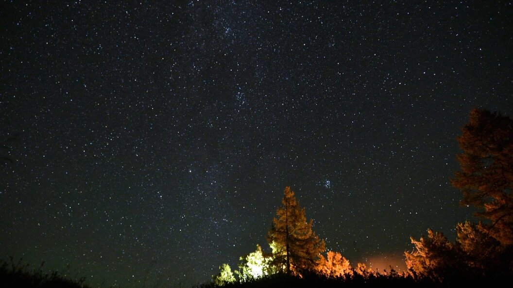    Фото: Kremlin Pool /Globallookpress