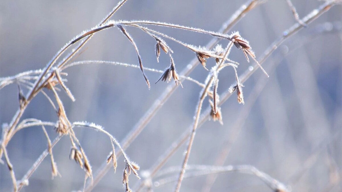     Автор: Unsplash