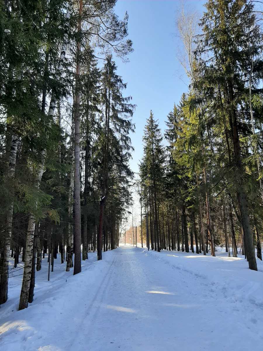 Гуляла по нашему лесопарку