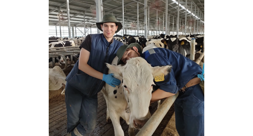 Фото: «Русмолко»