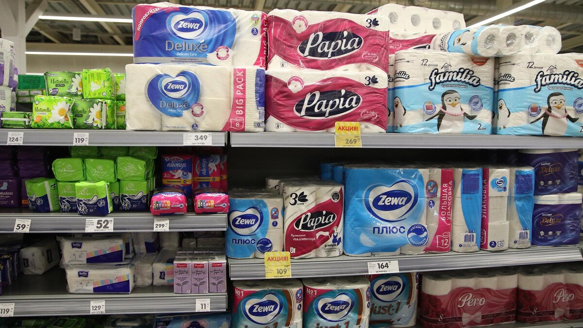 Фото: Maksim Konstantinov/globallookpress.com