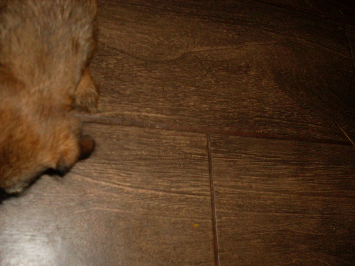 Иногда ваш потолок это чей то пол.