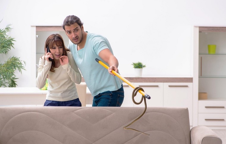    Shutterstock/FOTODOM