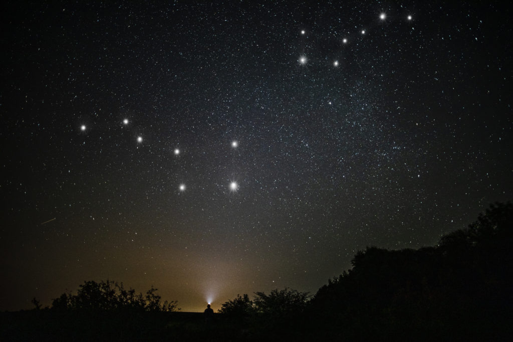    Фото: freepik.com Administrator