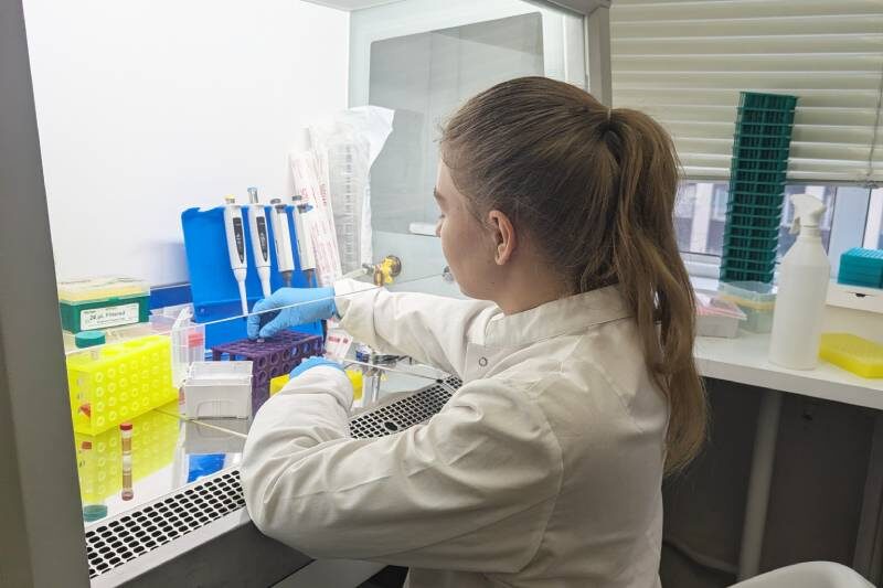 Работа с клетками млекопитающих в ламинаре. Источник: Анна Кудряева